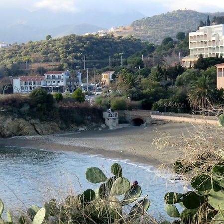 Les Pieds Dans L'Eau Apartment Banyuls-sur-Mer Luaran gambar