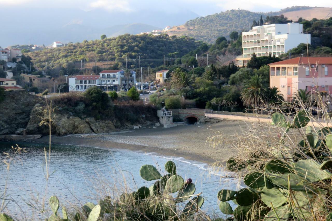 Les Pieds Dans L'Eau Apartment Banyuls-sur-Mer Luaran gambar