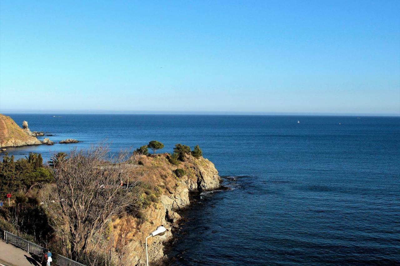 Les Pieds Dans L'Eau Apartment Banyuls-sur-Mer Luaran gambar